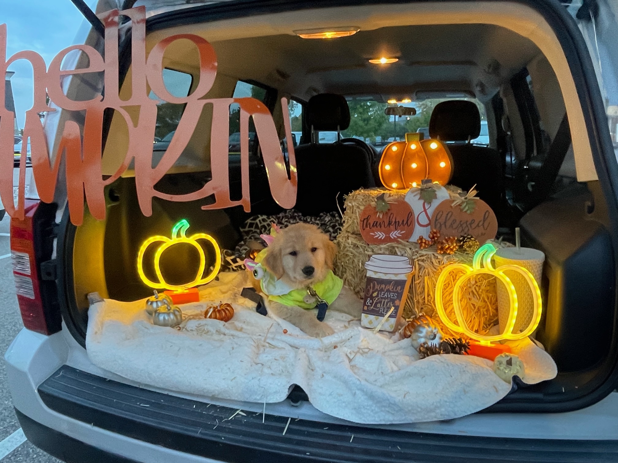 Trunk or Treat 22_EP 16.jpg
